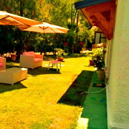 La Corte Delle Rose B&B Praia a Mare Luaran gambar