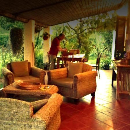 La Corte Delle Rose B&B Praia a Mare Luaran gambar