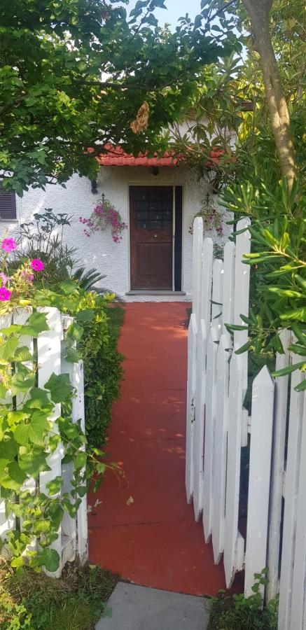La Corte Delle Rose B&B Praia a Mare Luaran gambar