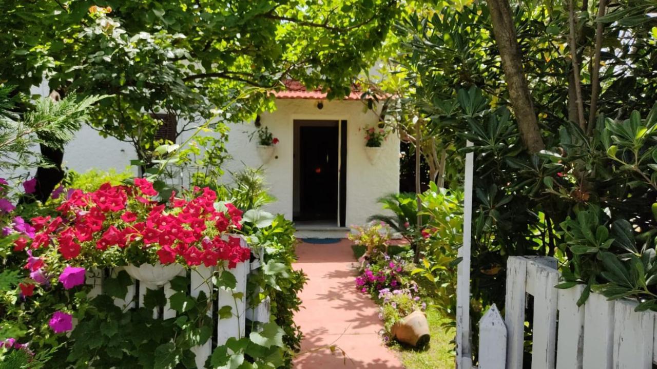 La Corte Delle Rose B&B Praia a Mare Luaran gambar