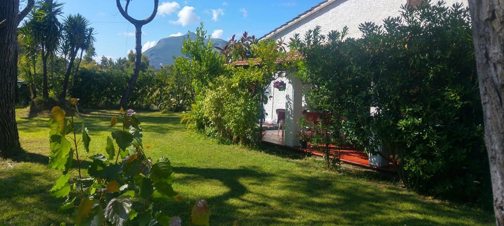 La Corte Delle Rose B&B Praia a Mare Luaran gambar