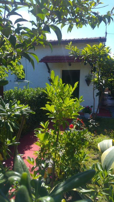 La Corte Delle Rose B&B Praia a Mare Luaran gambar