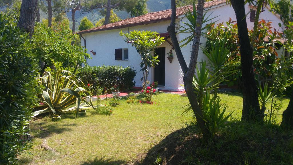 La Corte Delle Rose B&B Praia a Mare Luaran gambar