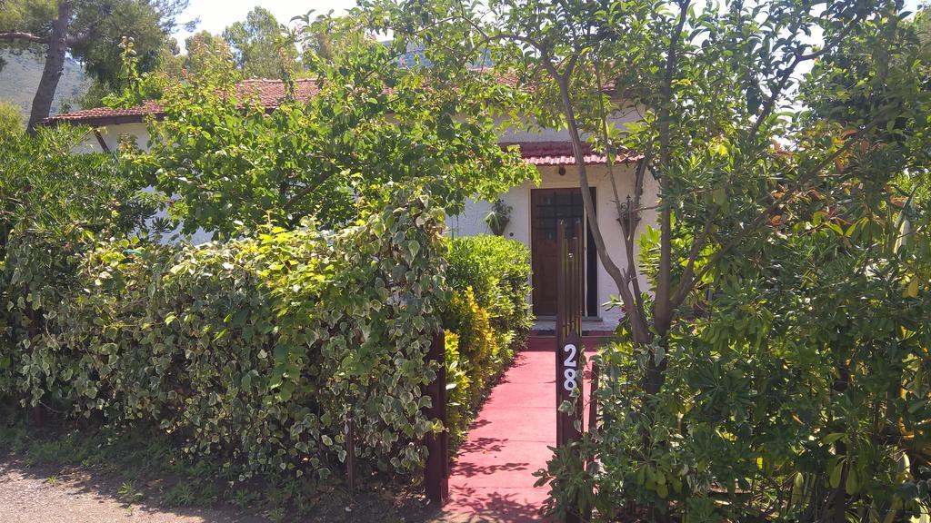 La Corte Delle Rose B&B Praia a Mare Luaran gambar