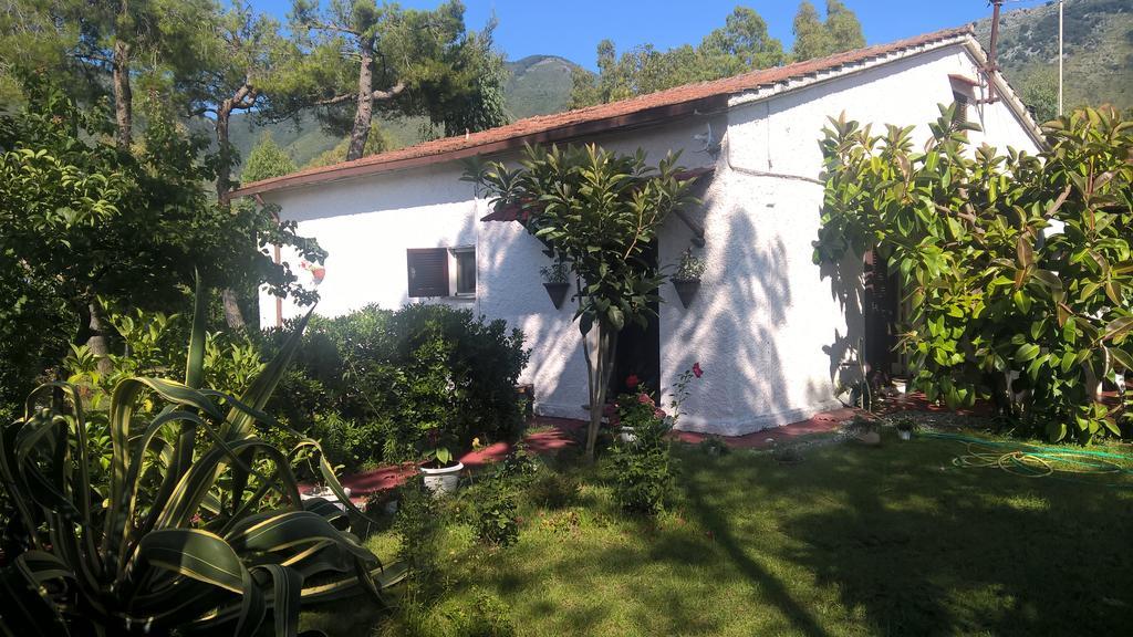 La Corte Delle Rose B&B Praia a Mare Luaran gambar