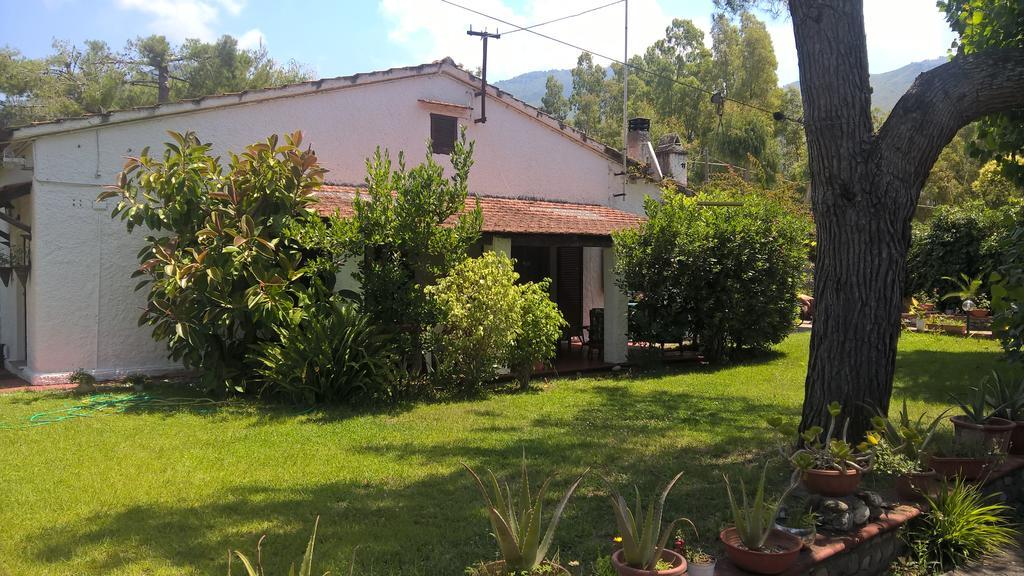 La Corte Delle Rose B&B Praia a Mare Luaran gambar