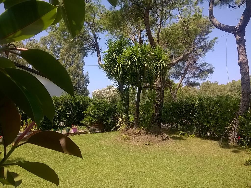 La Corte Delle Rose B&B Praia a Mare Luaran gambar