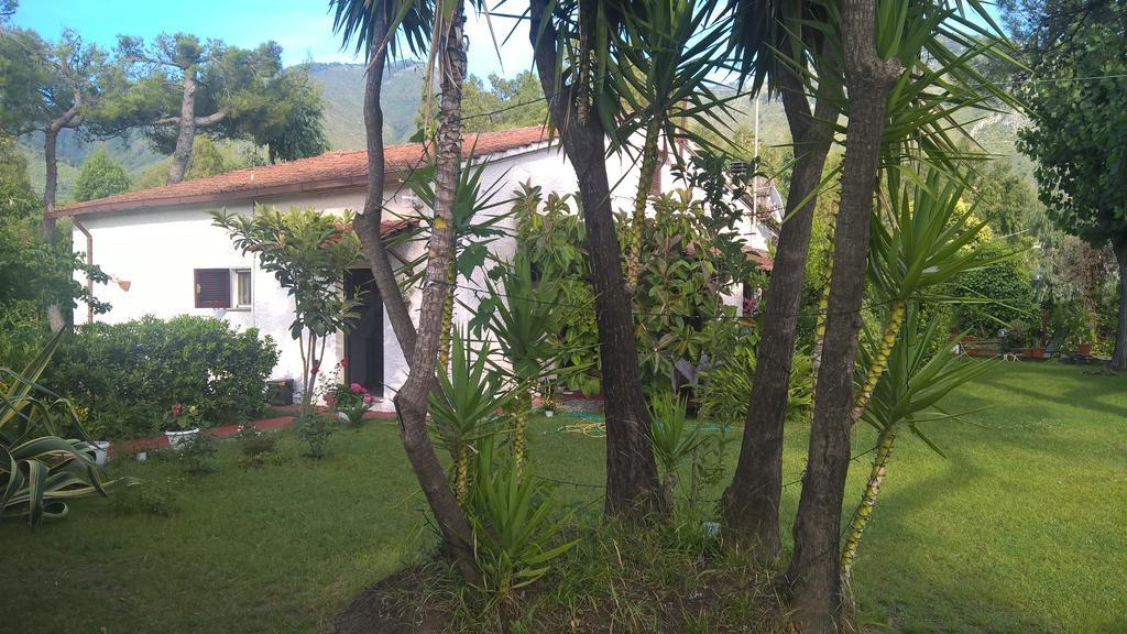 La Corte Delle Rose B&B Praia a Mare Luaran gambar