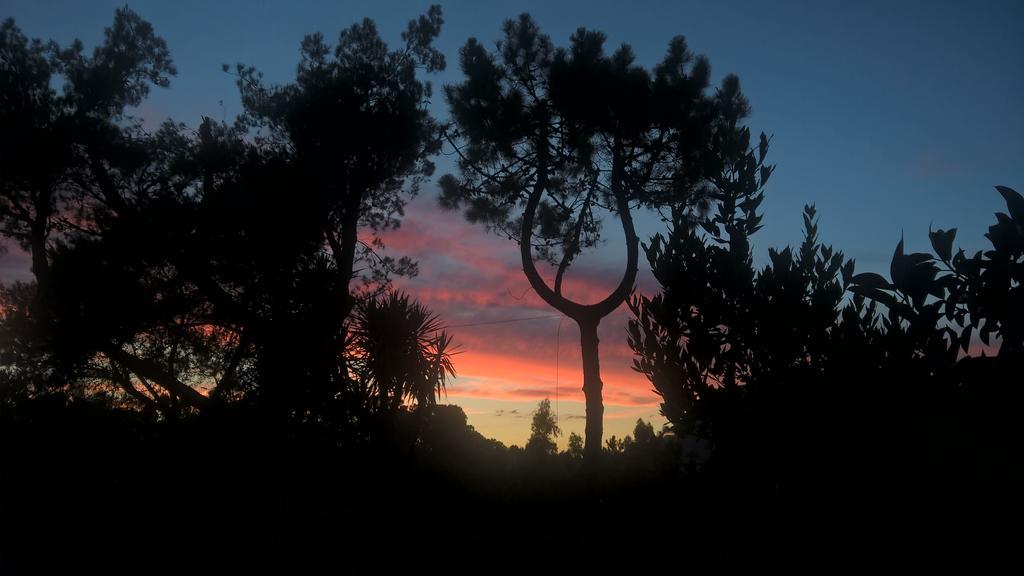 La Corte Delle Rose B&B Praia a Mare Luaran gambar