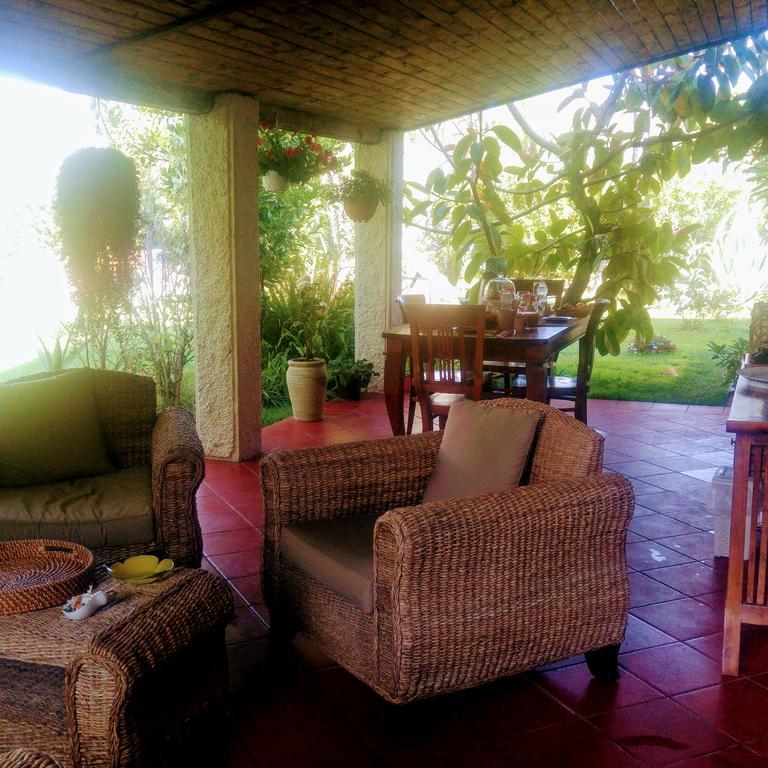 La Corte Delle Rose B&B Praia a Mare Luaran gambar